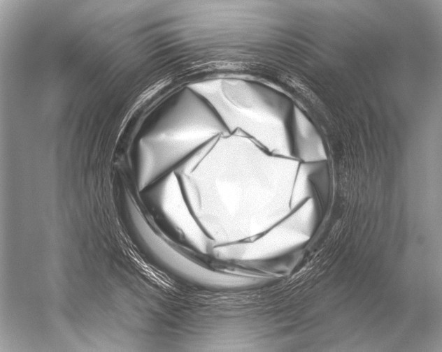 X0000052931026200508050824