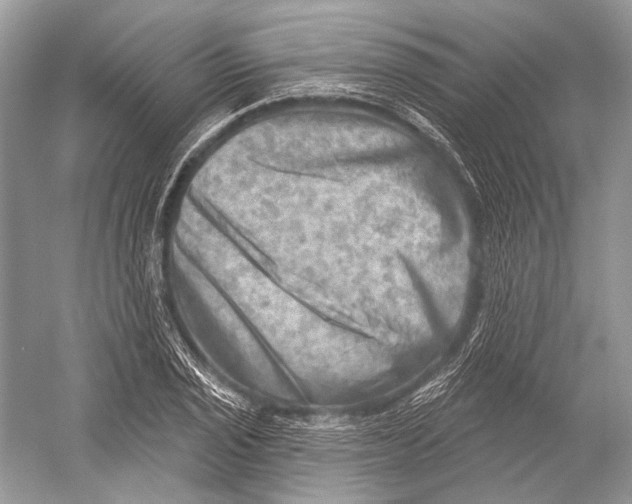 X0000052931029200508050824