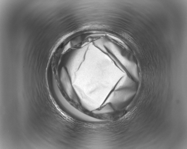 X0000052931030200508050824