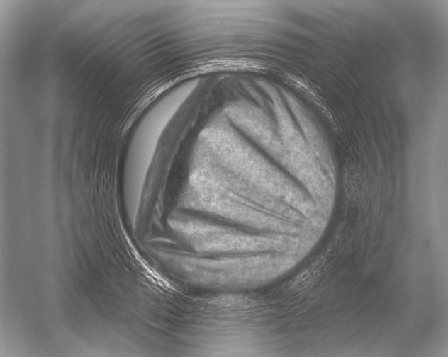 X0000052931033200508050824