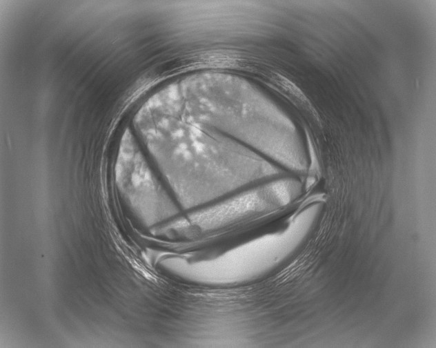X0000052931035200508050824