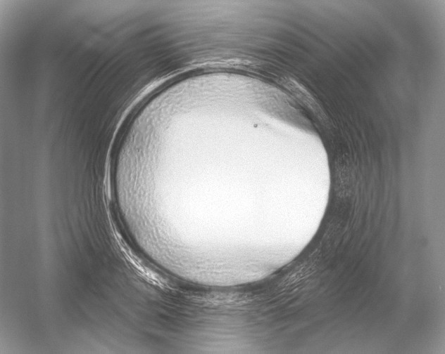 X0000052931036200508050824