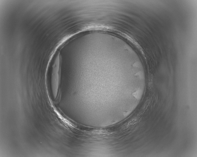 X0000052931037200508050824