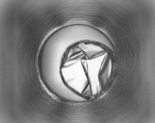 X0000052931038200508050824