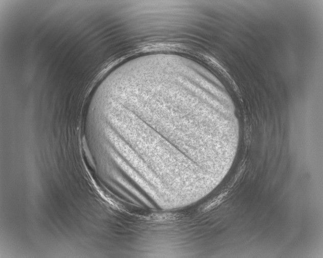 X0000052931041200508050824