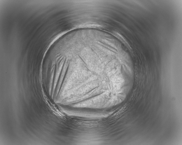 X0000052931044200508050824