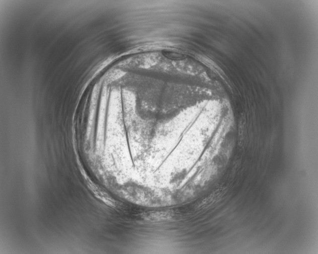X0000052931047200508050824
