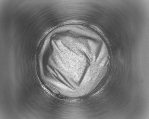 X0000052931049200508050824