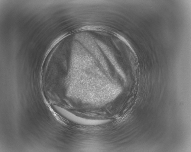 X0000052931050200508050824
