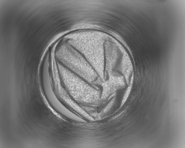 X0000052931053200508050824