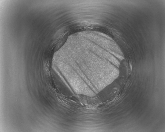 X0000052931060200508050823