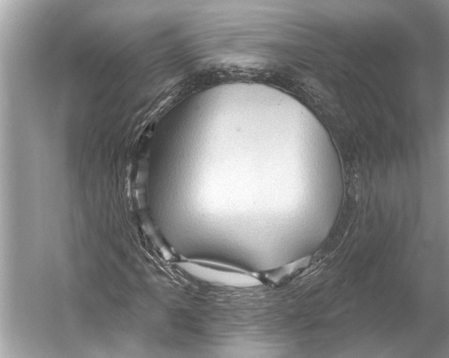 X0000052931061200508050823