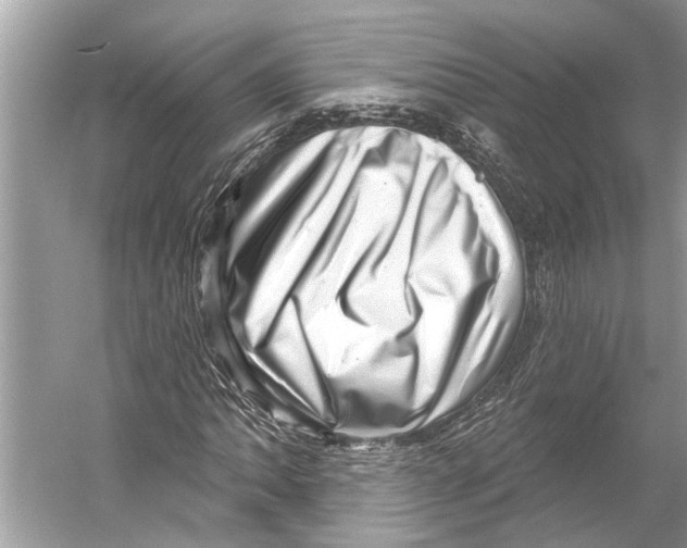 X0000052931062200508050823