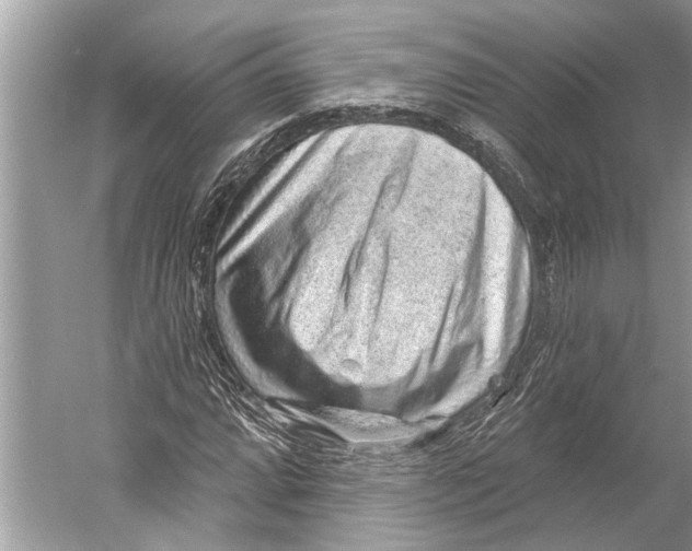 X0000052931064200508050823