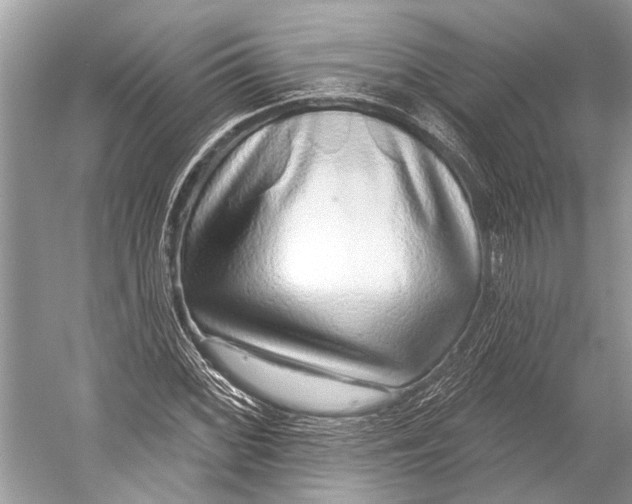 X0000052931068200508050823