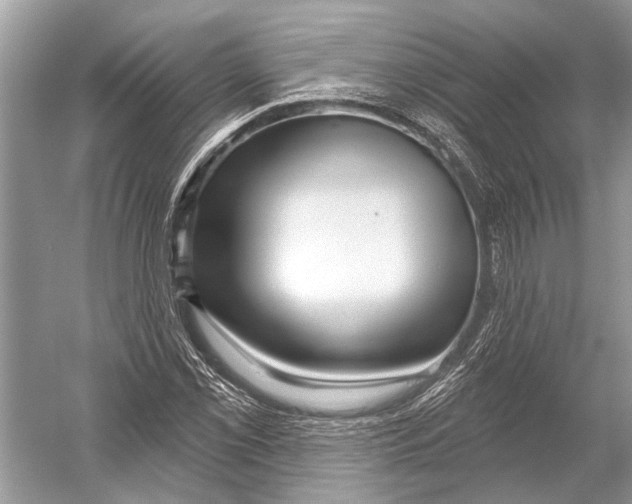 X0000052931069200508050823