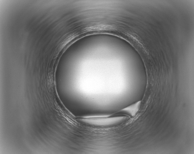 X0000052931073200508050823