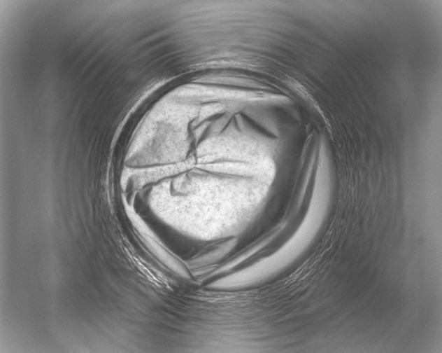 X0000052931076200508050823