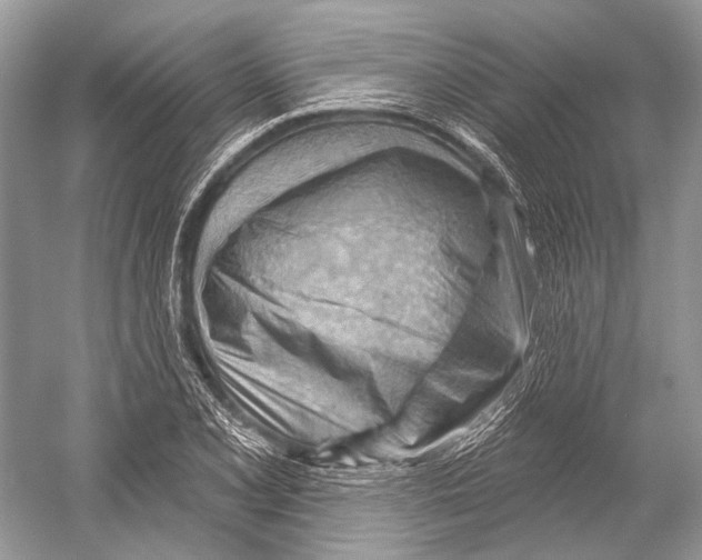 X0000052931077200508050823