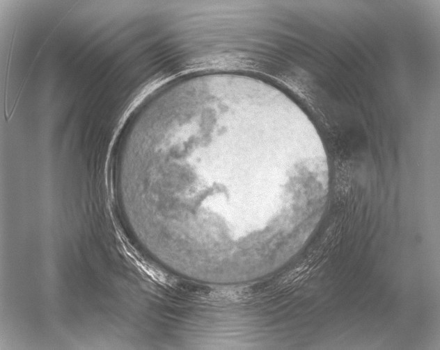X0000052931078200508050823