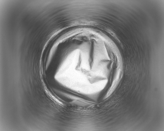 X0000052931080200508050823