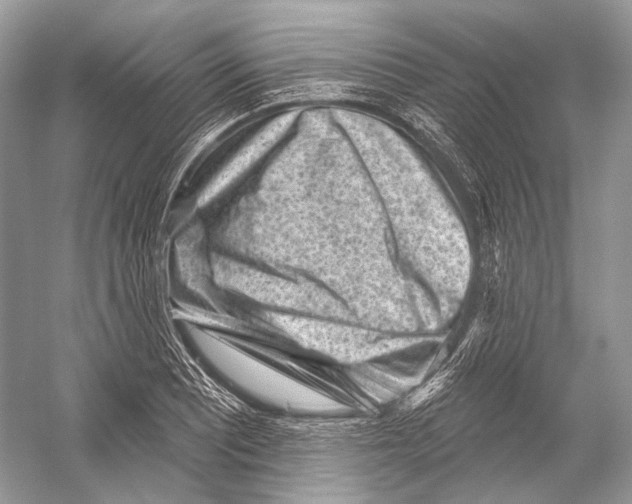 X0000052931081200508050823