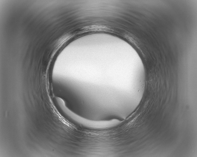 X0000052931082200508050823
