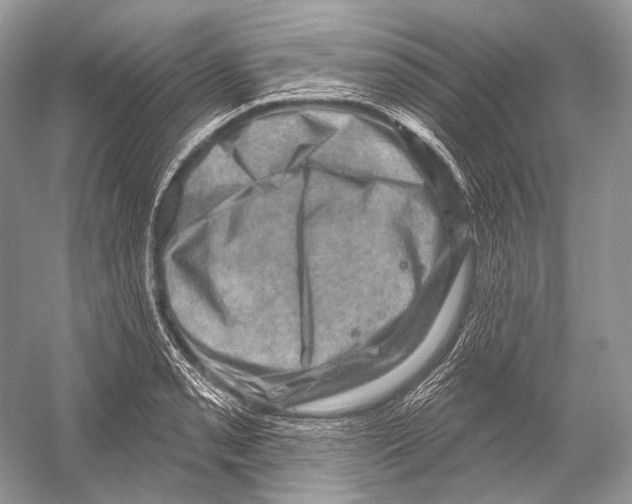X0000052931085200508050823
