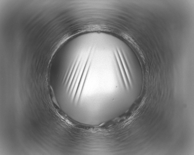 X0000052931089200508050823