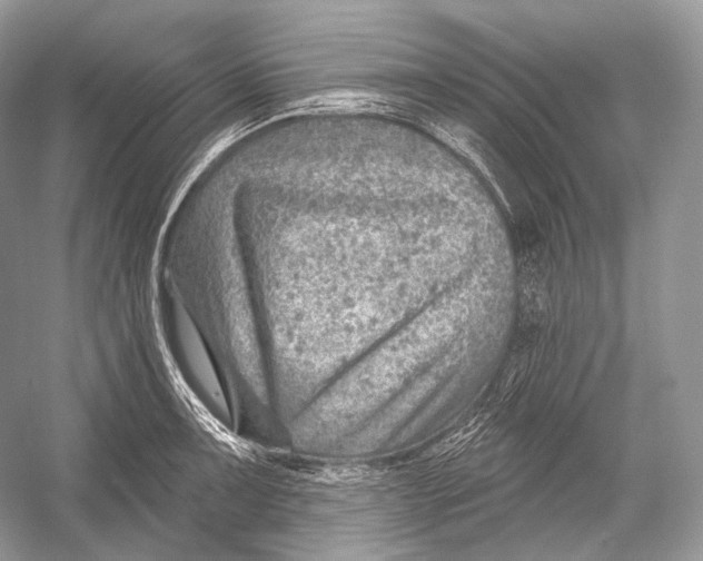 X0000052931091200508050823