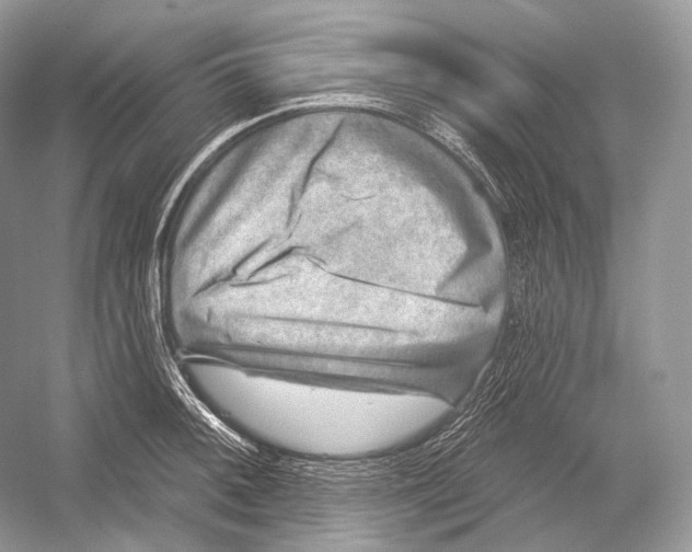 X0000052931092200508050823