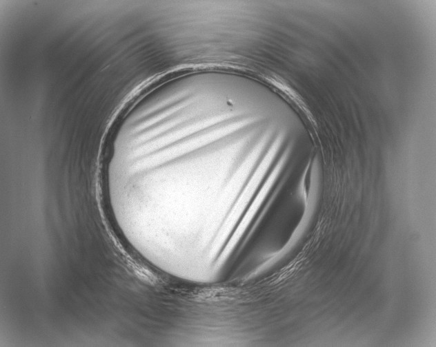 X0000052931093200508050823