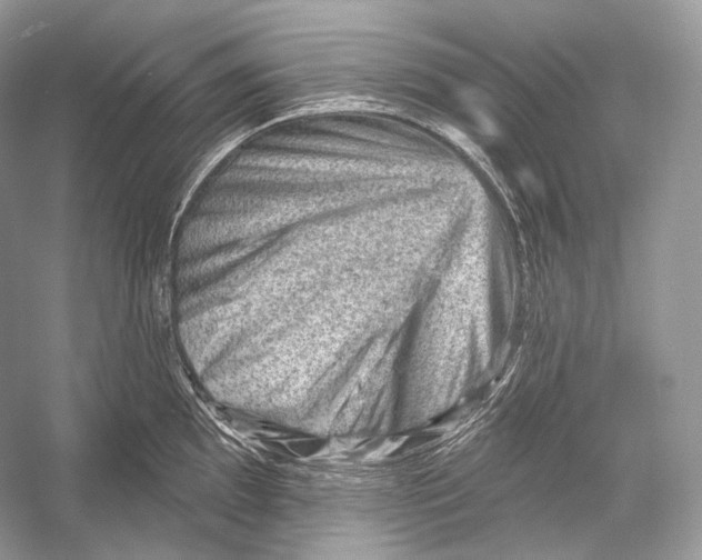 X0000052931097200508050823