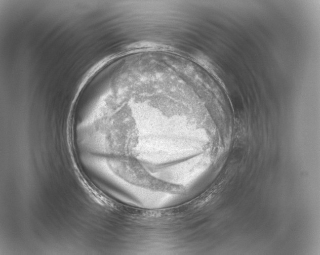 X0000052931098200508050823
