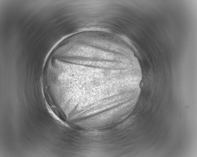 X0000052931100200508050823