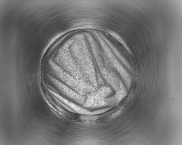 X0000052931101200508050823