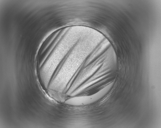X0000052931102200508050823