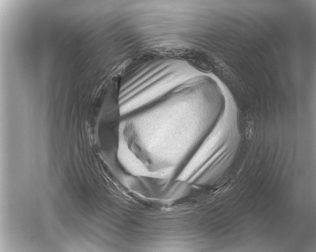 X0000052931108200508050822