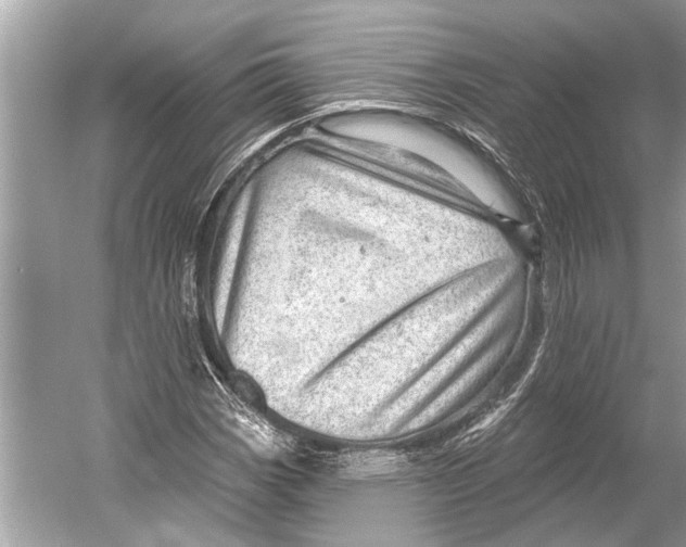 X0000052931113200508050822