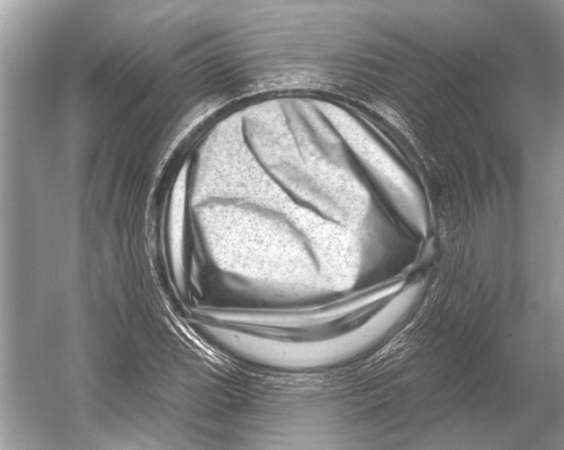 X0000052931119200508050822