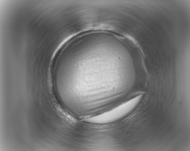 X0000052931120200508050822