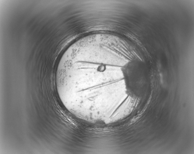 X0000052931121200508050822
