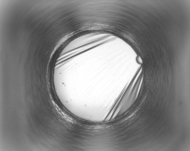 X0000052931122200508050822