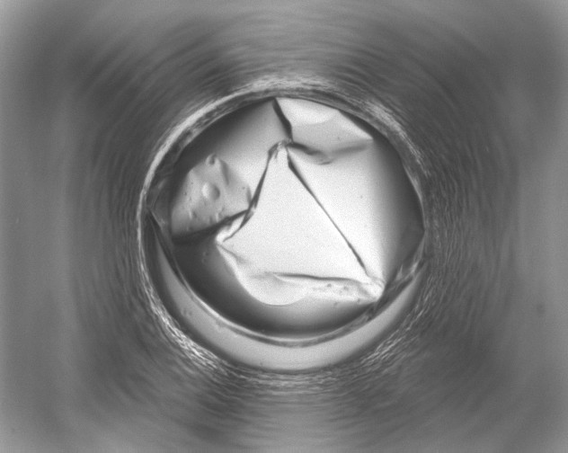 X0000052931124200508050822