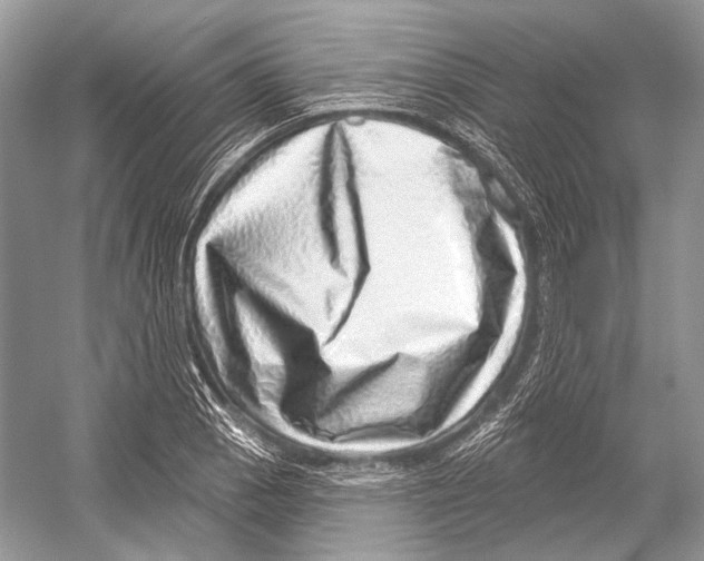 X0000052931129200508050822