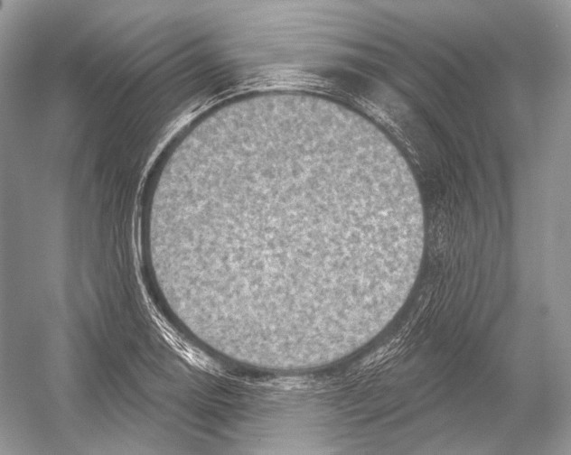 X0000052931130200508050822