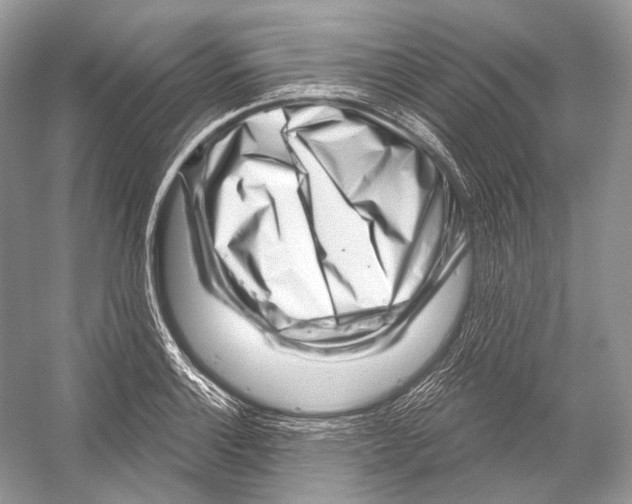 X0000052931132200508050822