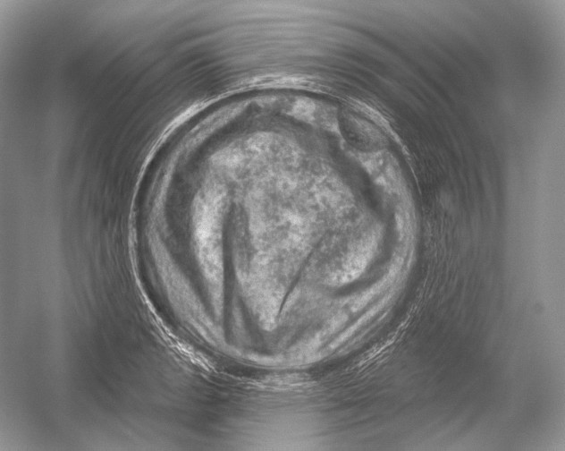 X0000052931133200508050822