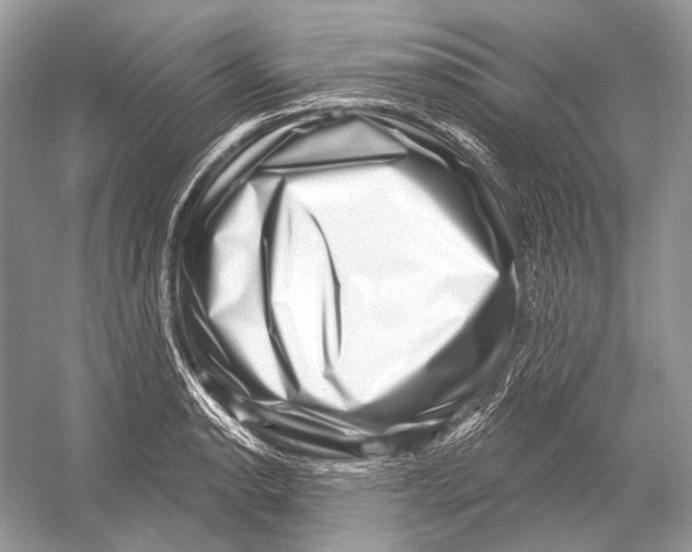 X0000052931134200508050822