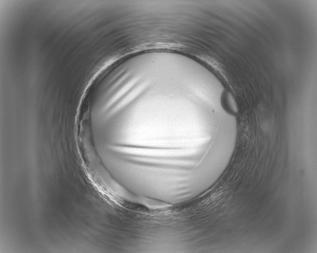 X0000052931135200508050822